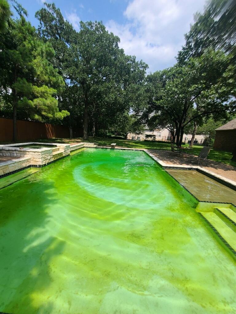 Green, cloudy backyard pool before a cleanup