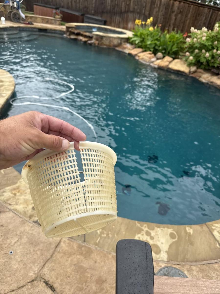 Emptying a skimmer basket during weekly service